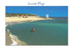 Delcampe - 11 PORT LEUCATE La Longue Plage De Sable Fin (Scan R/V) N° 25 \MR8076 - Leucate