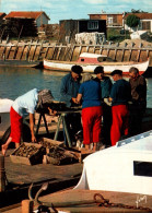 Delcampe - CPM - OSTRÉICULTURE - Bassin D'ARCACHON - Le Triage Des Huîtres - Edition Yvon - Fischerei