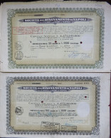 Delcampe - SOCIETA' PEL RISANAMENTO  DI NAPOLI (2 PEZZI) - Altri & Non Classificati