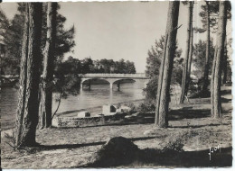 Delcampe - [40] Landes > Hossegor Le Pont Et Les Bords Du Canal - Hossegor