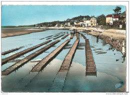Delcampe - [40] Landes > Hossegor Le Lac Marin Parc à Huitres - Hossegor