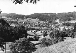 Delcampe - SUISSE - Wila ZH - Vue Générale - Village - Eglise - Collines Boisées - Végétation - Paysage - Carte Postale - Wila