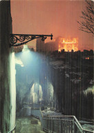 Delcampe - 69 LYON LA MONTEE DES CHAZEAUX - Sonstige & Ohne Zuordnung