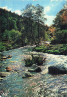 Delcampe - 87 LIMOGES LIMOUSIN - Limoges