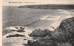 Delcampe - 29-LA POINTE DU RAZ LA BAIE DES TREPASSES-N°T5034-C/0017 - La Pointe Du Raz