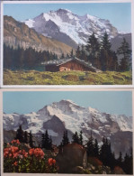 Delcampe - DIE JUNGFRAU, Bei Wengen  -  2 CARTES  - - Wengen