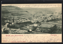 Delcampe - AK Bad Schwalbach, Ortsansicht, Panorama - Bad Schwalbach