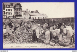 Delcampe - CANCALE Animation Triage Des Huitres (TTB état) 8508 - Cancale