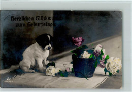 Delcampe - 10141903 - Geburtstag Landseer Welpe Mit Korb Voller - Geburtstag