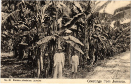 Delcampe - PC JAMAICA BANANA PLANTATION, JAMAICA (a79471) - Jamaica