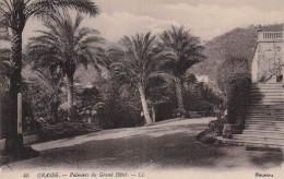 Delcampe - 6 GRASSE PALMIERS DU GRAND HOTEL - Grasse