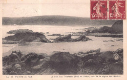 Delcampe - 29 Baie Des Trepasses  BOE En Anaon Cléden-Cap-Sizun (scan R/V) N° 14 \ PNN2003 - Roscoff