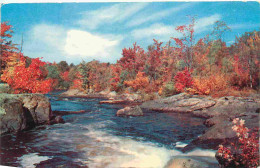 Delcampe - Carte Postale - Canada - Twas Autumn And The Leaves Were Gold And Red And Russet Brown - CPM - Voir Scans Recto-Verso - - Sonstige & Ohne Zuordnung