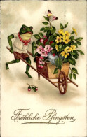 Delcampe - CPA Glückwunsch, Pfingsten, Frosch Mit Schubkarre, Blumen - Pfingsten