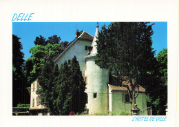 Delcampe - 90 DELLE L HOTEL DE VILLE CHATEAU FELTIN - Delle