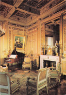 Delcampe - 89 ANCY LE FRANC LE SALON LOUVOIS CHATEAU D ANCY LE FRANC - Ancy Le Franc