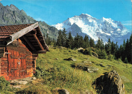 Delcampe - SUISSE - Wengen - Jungfrau - Cabane - Rocher - Hameau - Bois - Glacier - Montagne - Paysage - Carte Postale - Wengen