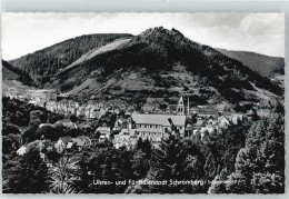 Delcampe - 50441380 - Schramberg - Schramberg
