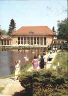 Delcampe - Bad Brambach Festhalle Kurpark - Bad Brambach