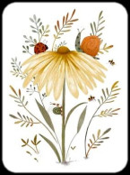 Delcampe - ▲ 011 - ESCARGOT ▲ CARTE MARQUE PAGE PVC - Bookmarks