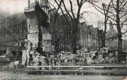 Delcampe - [-20%] BELGIQUE - Anvers - A La Zoologie - Carte Postale Ancienne - Antwerpen
