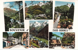 Delcampe - FRANCE - Eaux Bonnes - Souvenir - Panorama - Glacier - Vallée - Village - Forêt - Ed JOVE - Carte Postale - Eaux Bonnes