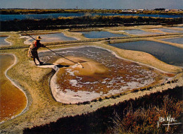 Delcampe - - Marais Salants "la Paludière" Que Ramèneras Tu....fins Cristaux Blancs - N°037 Vieux Chouan - Métier De La Mer - Farmers