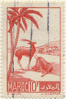 Delcampe - Maroc (Prot.Fr) Poste Obl Yv:197 Mi:173 Gazelles (Obl.mécanique) - Gebruikt