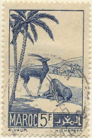 Delcampe - Maroc (Prot.Fr) Poste Obl Yv:196 Mi:172 Gazelles (cachet Rond) - Gebruikt