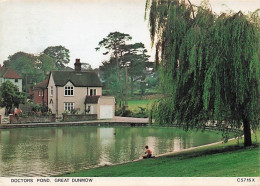 Delcampe - A IDENTIFIER-N°7038-A/0051 - Zu Identifizieren