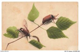 Delcampe - AZLP2-0145-ANIMAUX - Les Hannetons - Coléoptères - Insectos