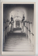 Delcampe - Kotor (cg273) Foto Atelje Cirigović - Montenegro