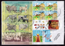 Delcampe - Argentina - 2022 - Letter - Sheep Breeds - Ovine- Diverse - Briefe U. Dokumente