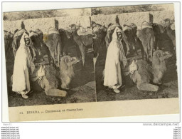 Delcampe - 1 Cpa Biskra " Chameaux Et Chameliers " " Pionnière " - Biskra