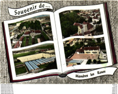 Delcampe - 1 Cpsm Souvenir De Mandres Les Roses - Mandres Les Roses