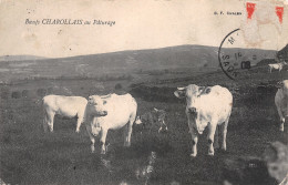 Delcampe - 71-CHAROLLES-N°3799-E/0249 - Charolles