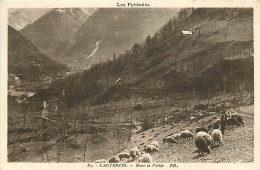 Delcampe - Carte Postale Ancienne - 65 - Cauterets - Dans La Vallée - Berger Et Ses Moutons - CPA - Voir Scans Recto-Verso - Poscar - Cauterets