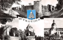 Delcampe - 77-PROVINS-N°T2536-A/0207 - Provins