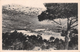 Delcampe - 13-AUBAGNE CAMP DE CARPIAGNE-N°T2535-H/0367 - Aubagne