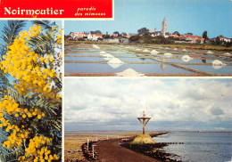 Delcampe - 85-NOIRMOUTIER-N°3820-C/0375 - Noirmoutier