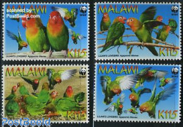 Delcampe - Malawi 2009 WWF, Lilians Lovebird 4v, Mint NH, Nature - Birds - Parrots - World Wildlife Fund (WWF) - Malawi (1964-...)