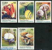 Delcampe - Cuba 2005 Mushrooms, Snails 5v, Mint NH, Nature - Mushrooms - Shells & Crustaceans - Ungebraucht
