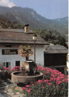 Delcampe - 74-LES HOUCHES-N°C4119-C/0391 - Les Houches