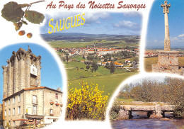 Delcampe - 43-SAUGUES-N°3459-D/0069 - Saugues