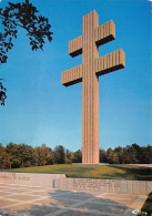 Delcampe - 52-COLOMBEY LES DEUX EGLISES-N°3459-C/0259 - Colombey Les Deux Eglises