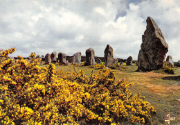 Delcampe - 56-CARNAC-N°3459-C/0219 - Carnac
