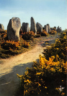 Delcampe - 56-CARNAC-N°3459-C/0089 - Carnac