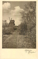 Delcampe - A6052 A Narrow Road Leading To An Old Windmill - Windmühlen
