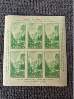 Delcampe - USA 1934 Block 6 Trans-Mississippi Briefmarken Ausstellung Postfrisch/MNH - Blocs-feuillets