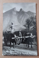 Delcampe - CPSM SCENE TYPIQUE MONTERREY MAXIQUE N L GARCIA L FOL ATTELAGE BOEUFS HOMME MONTAGNE - Mexico